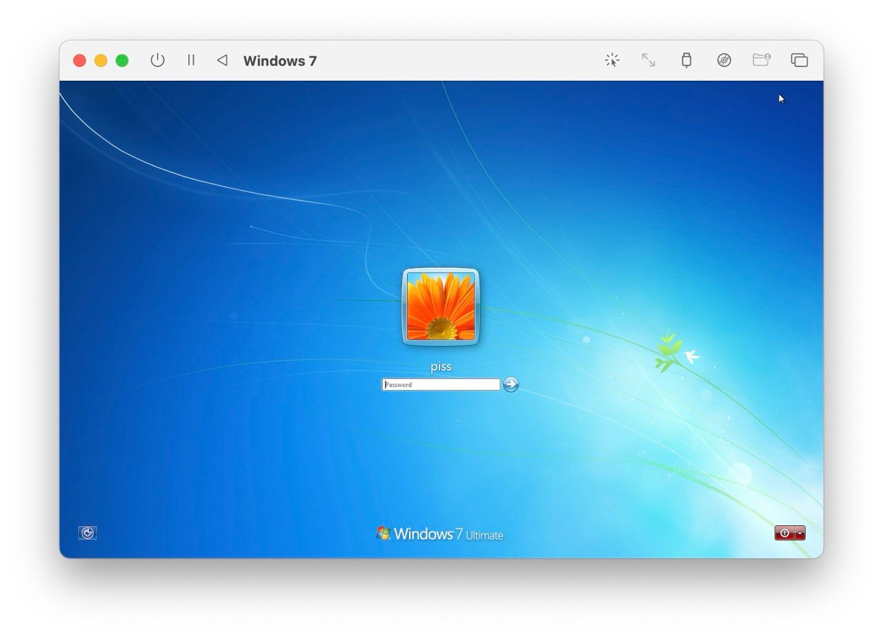 winders xp login