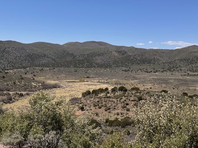 mountain meadows