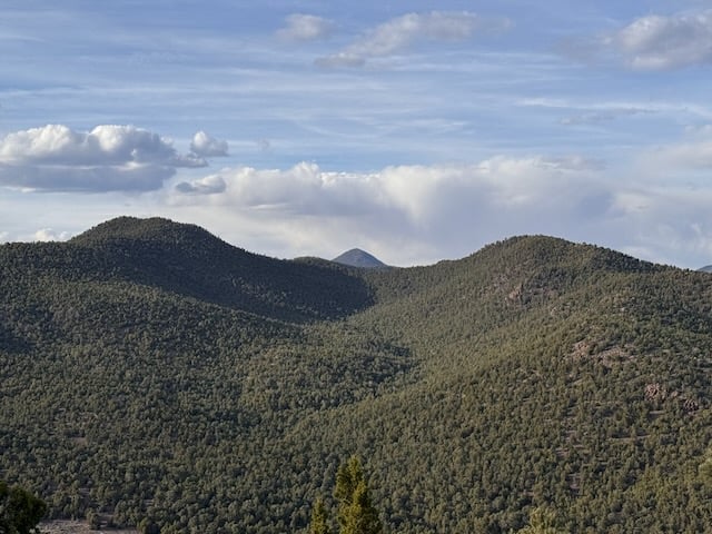 long live the wilderness