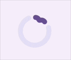 material design 3 circular progress indicator